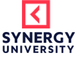 Synergy University